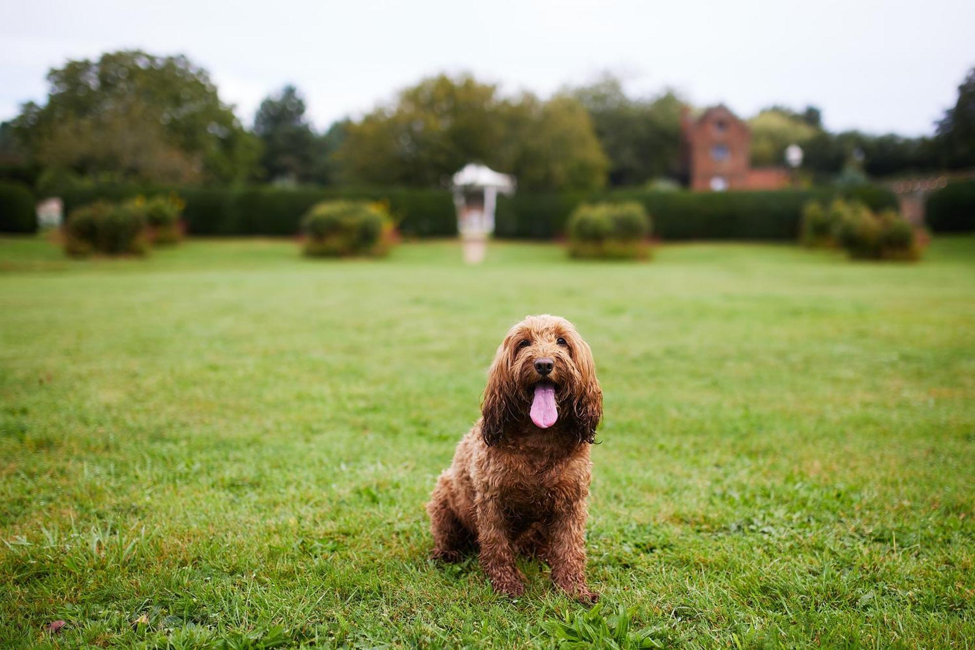 Seckford Hall Hotel & Spa Woodbridge Zewnętrze zdjęcie